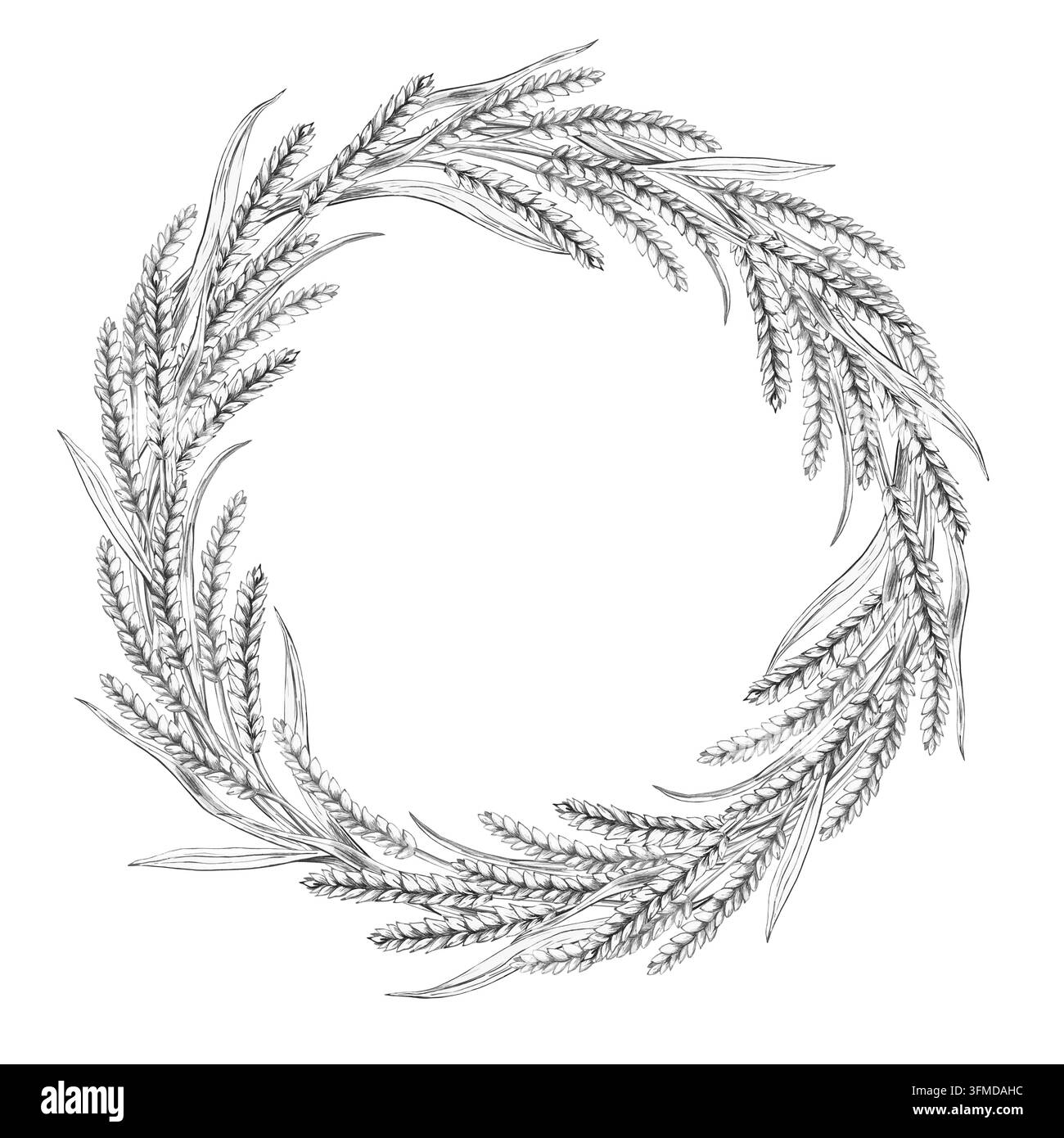 Disegno a matita di steli di grano curvi all'interno di una cornice rotonda. Un'illustrazione isolata adatta per decorare panetterie, caffè, tessuti da cucina, menu Foto Stock