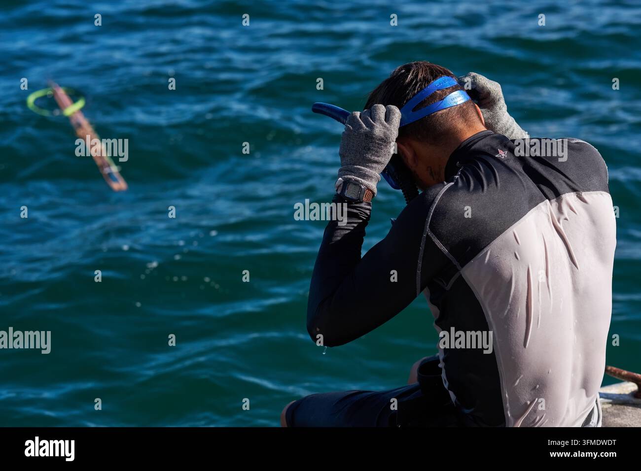 Apneista che indossa la maschera prima di immergersi alla ricerca di ostriche spinose, Playa El Burro, Bahia Concepcion, Baja California Sur, Messico Foto Stock