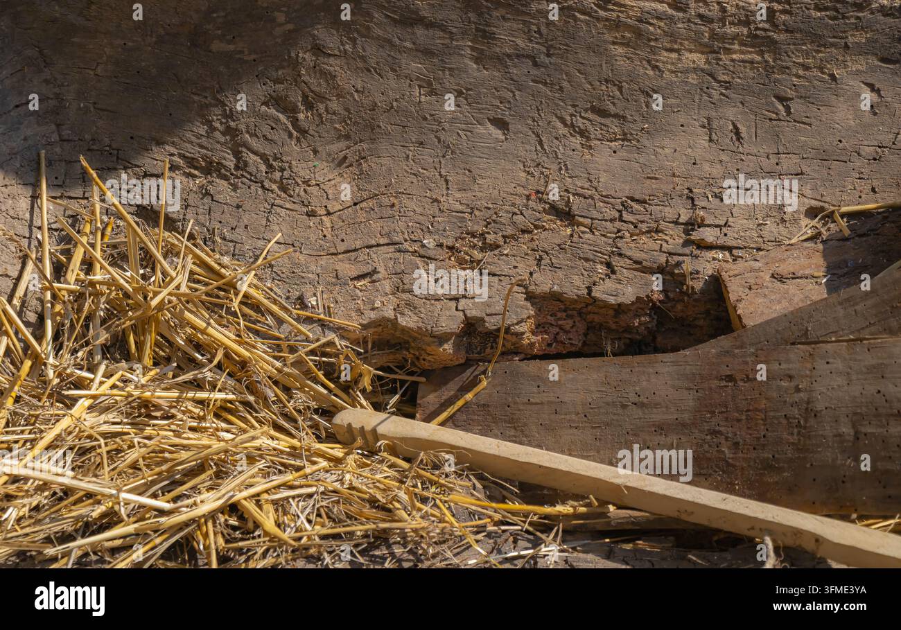 Primo piano di un vecchio trogolo di legno pieno di paglia secca, che mostra legno screpolato, superfici consumate e una texture agricola rustica alla luce calda del sole. Foto Stock