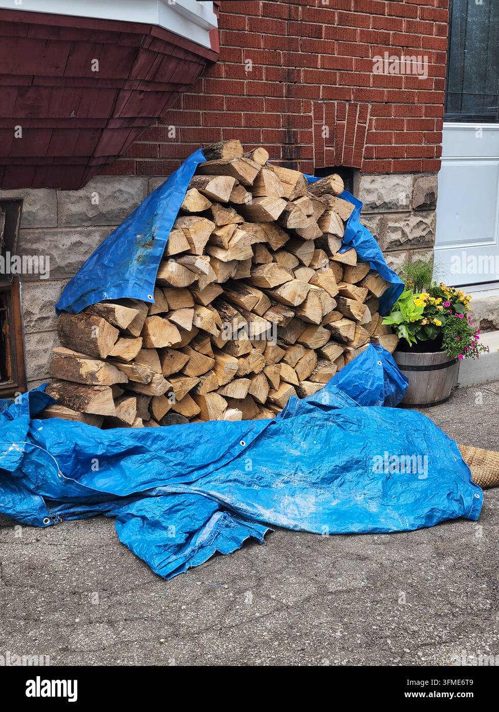 Pila di legna da ardere spaccata coperta da un telo di plastica blu vicino a un muro di casa in mattoni rossi all'aperto - Immagine stock catturata con smartphone