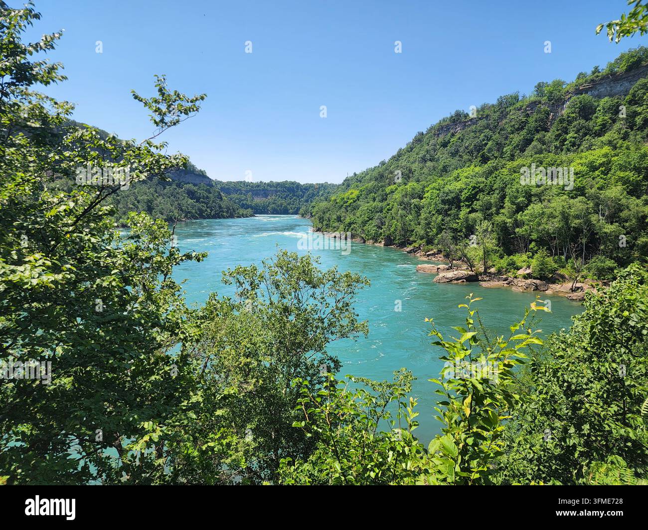 Gorgo del fiume Niagara e rapide viste attraverso le foglie di alberi verde brillante in una giornata soleggiata. Foto Stock