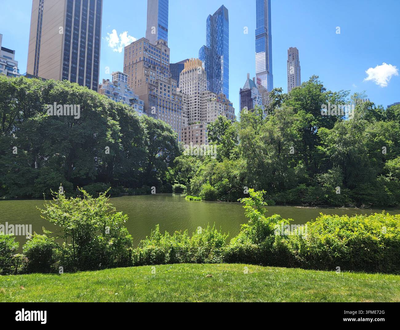 Lago di Central Park con alberi verdi e grattacieli di Manhattan sotto un cielo blu a New York City. - Immagine stock catturata con smartphone