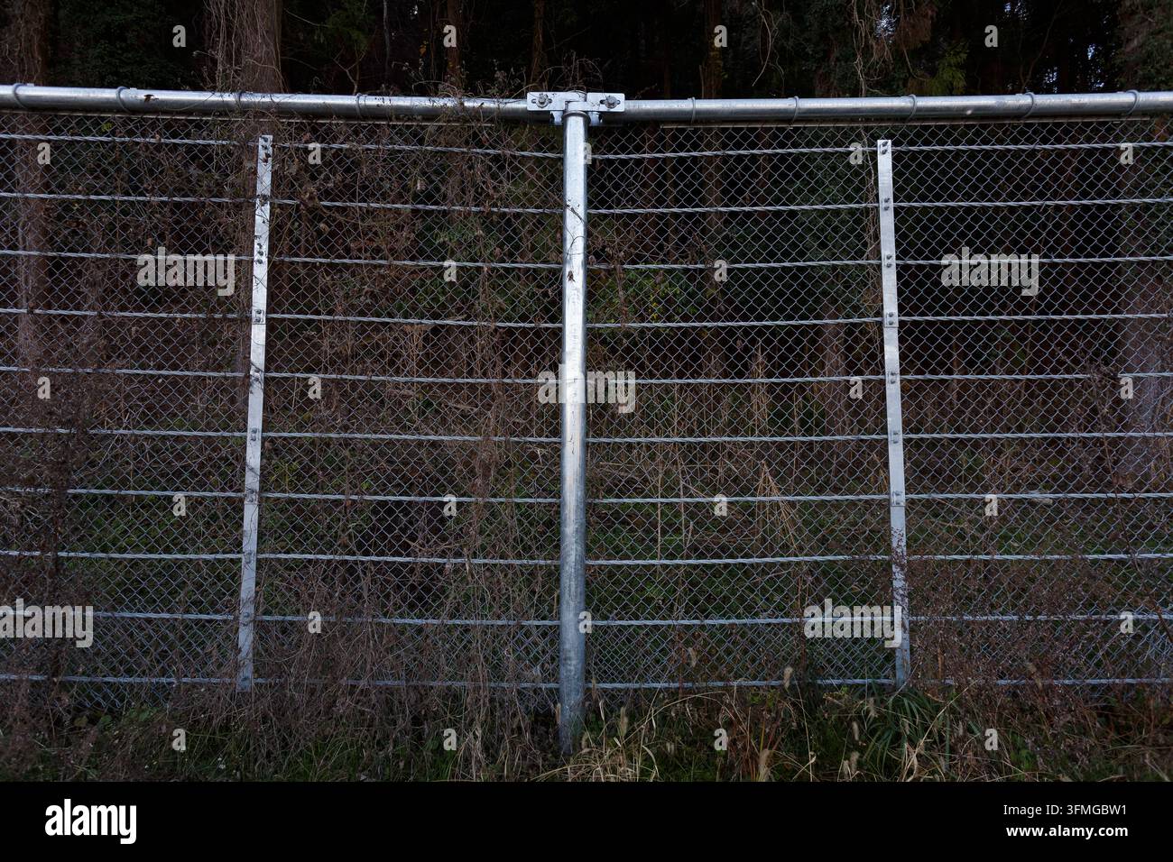 Una grande recinzione metallica alla base di una collina boschiva per fermare le cadute di massi su una strada nella campagna di Kanagawa, Giappone. Foto Stock
