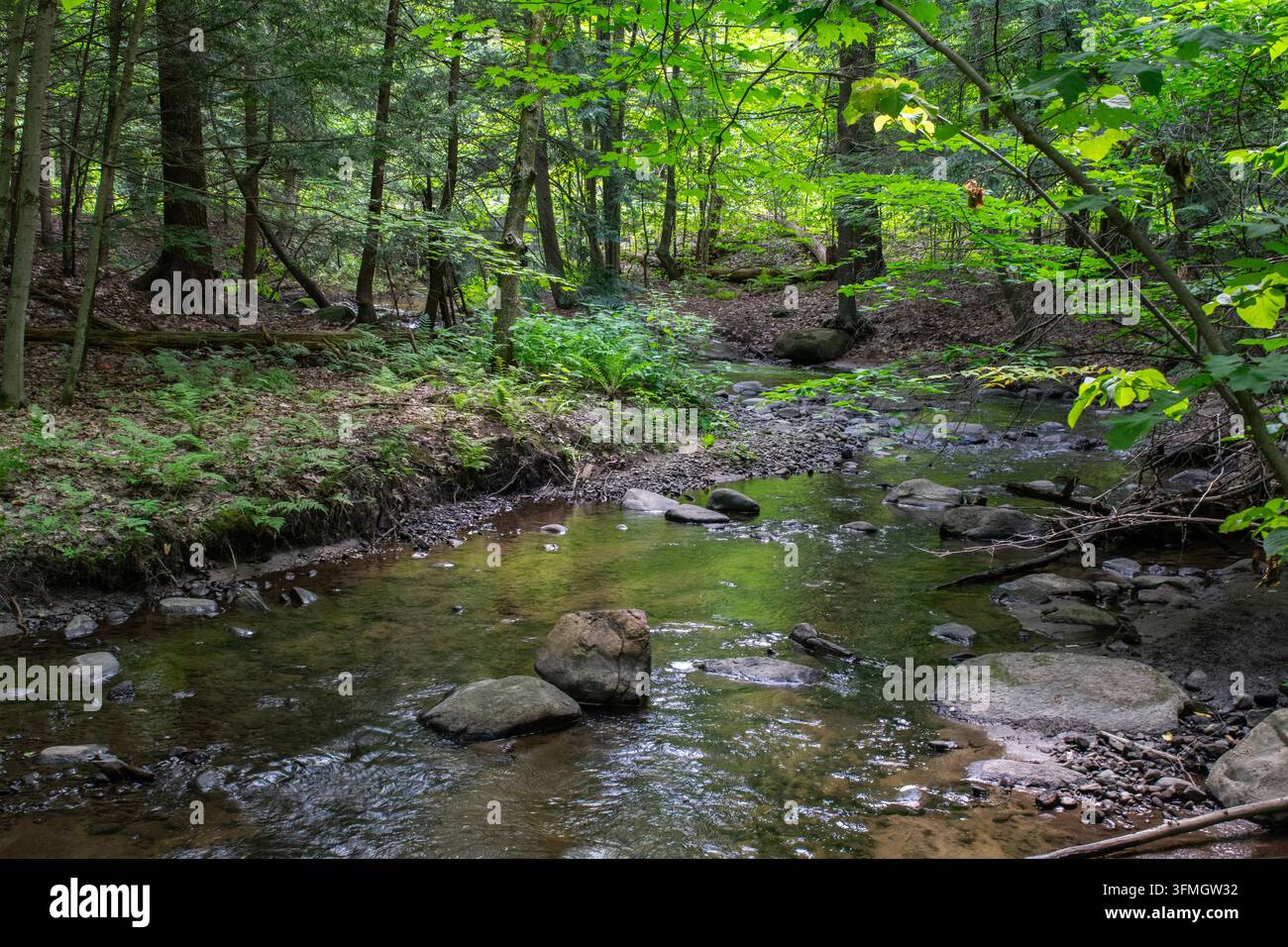 Il fiume Viviry a Hudson Foto Stock
