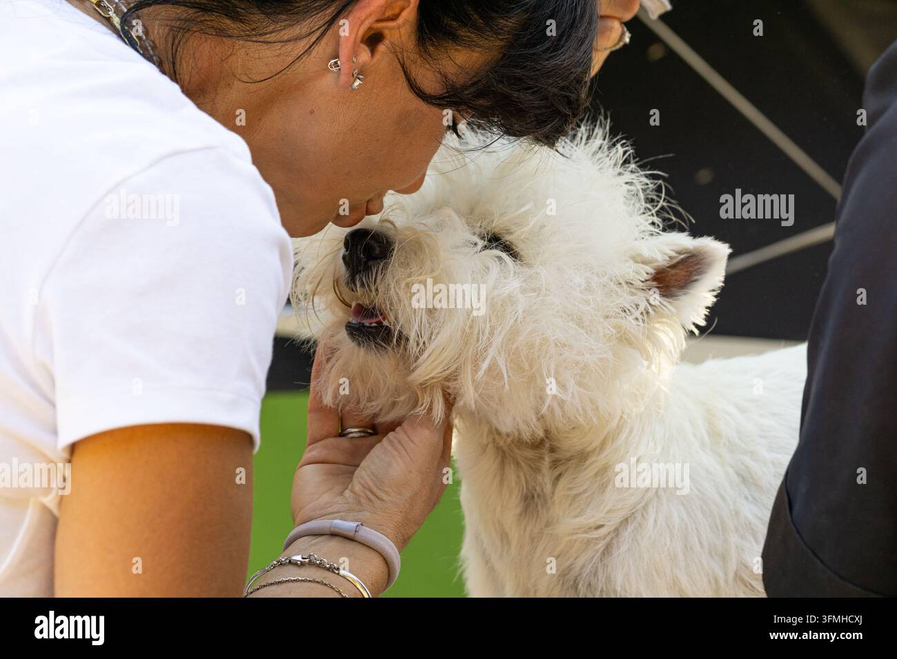 Prima piano di una donna che si china verso e tocca delicatamente il muso di un cane bianco arruffato. Il cane ansimante ha un mantello lungo e strutturato ed è circondato da Foto Stock