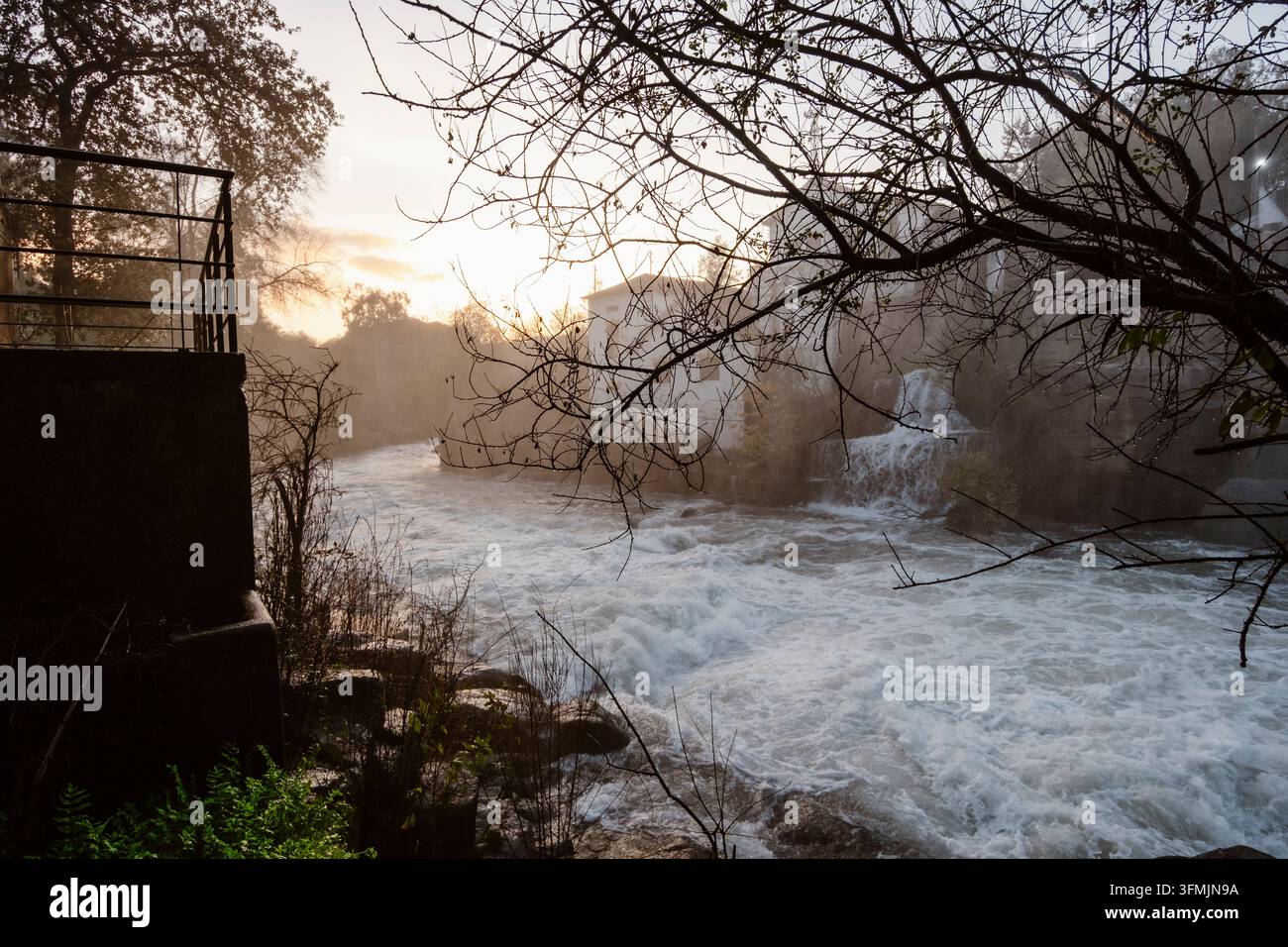Cascata nel Parque Novo Amieiro Galego circondata da una natura lussureggiante, Riba de Ave, Portogallo. Foto Stock