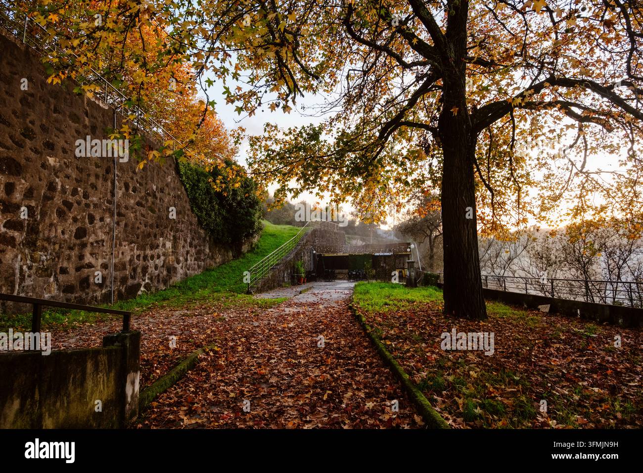 Parco autunnale dorato con alberi colorati e foglie cadute, Riba de Ave, Portogallo Foto Stock