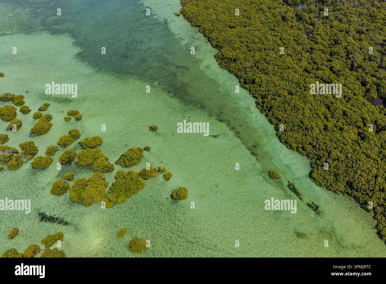Vista aerea di Moreton Island che mostra rigogliose foreste di mangrovie che incontrano le limpide acque turchesi della baia a Kooringal, Queensland, Australia. Foto Stock