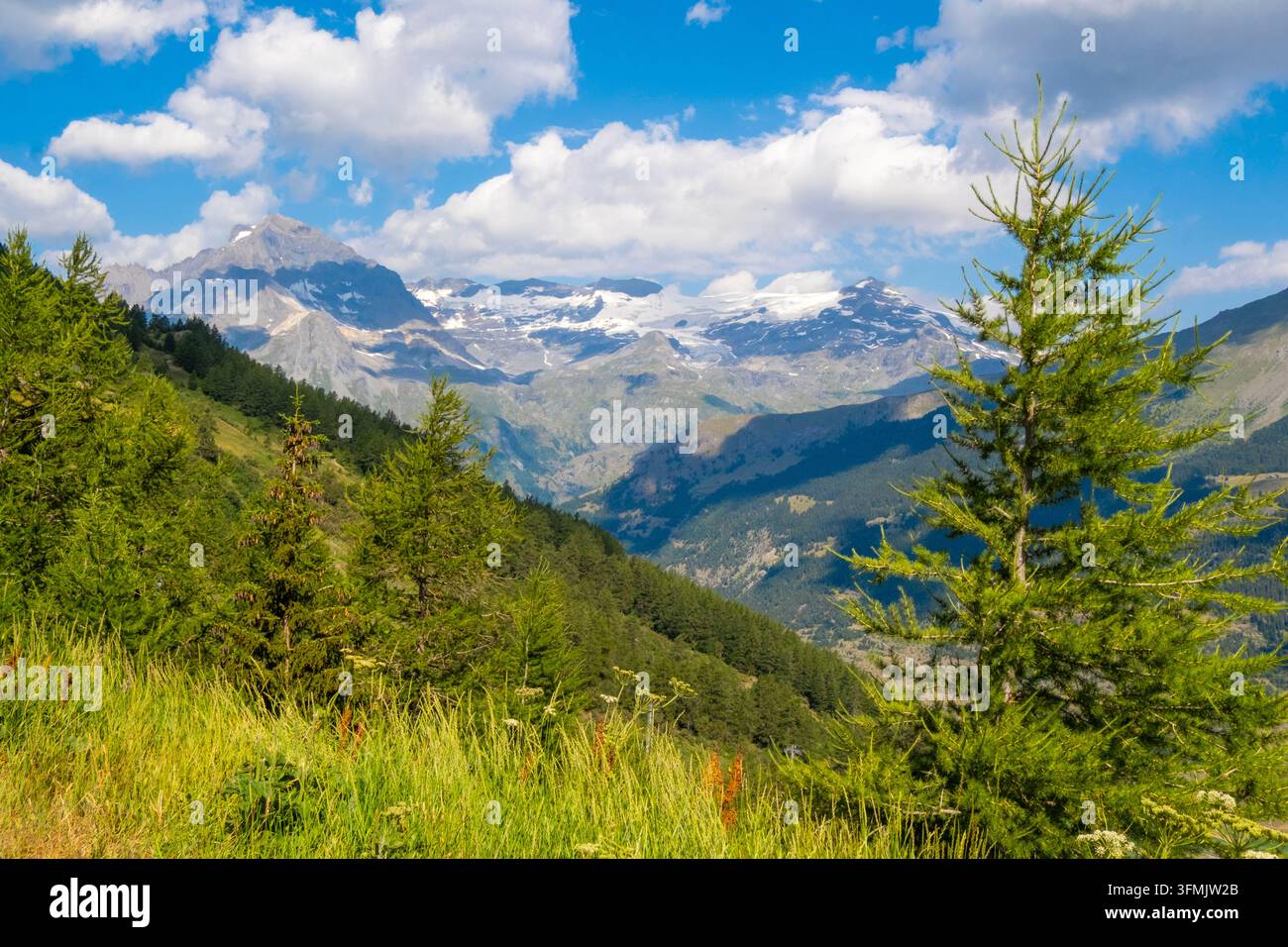Francia, Savoia, Parco regionale della Vanoise, strada del passo del Monginevero Foto Stock