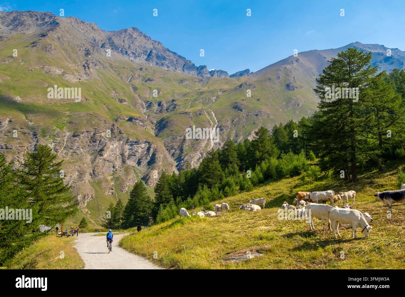 Italia, Piemonte, Usseaux, regione di Torino, sentiero per il Col de Sommeiller a 3009 m (confine con la Francia) Foto Stock
