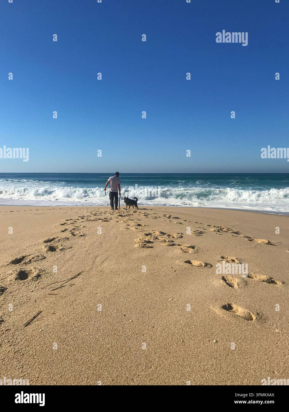 Uomo che cammina con il suo cane su una spiaggia sabbiosa Foto Stock