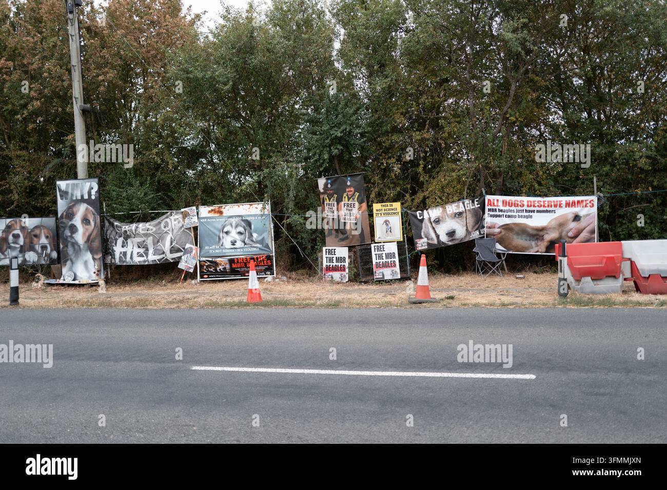 Una esposizione stradale di striscioni e poster di protesta con cani beagle al Camp Beagle. La scena è ambientata nel tardo pomeriggio, con alberi che costeggiano il Foto Stock