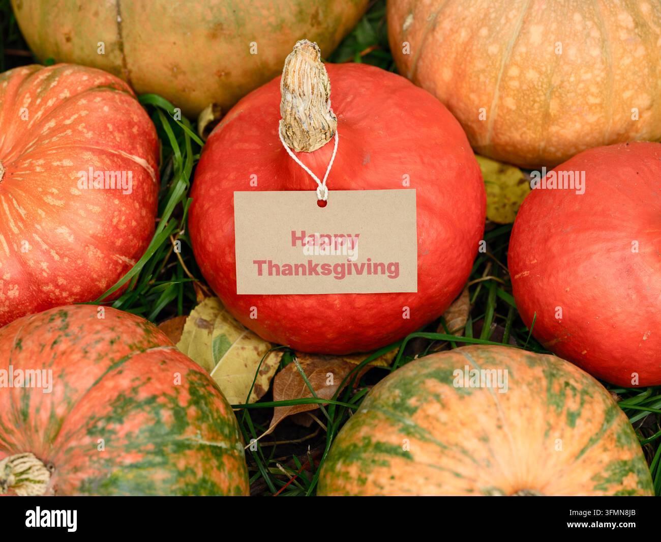 Una zucca rossa centrale presenta un piccolo tag artigianale con la scritta Happy Thanksgiving, circondata da zucche arancioni e verdi vibranti sdraiate sull'erba autunnale. Foto Stock