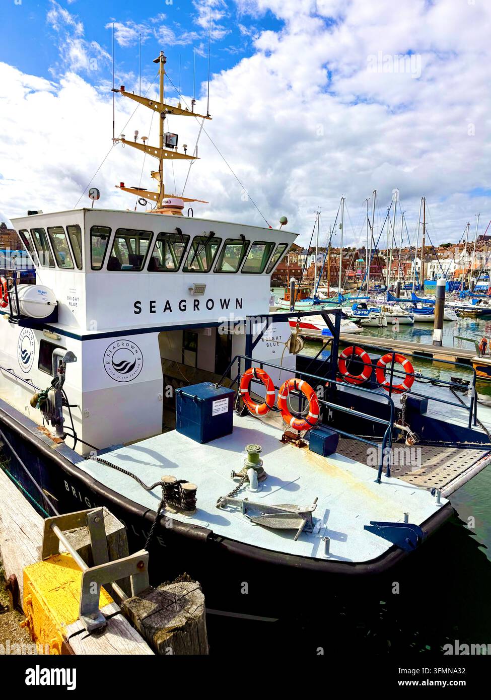 Bright Blue, una nave di proprietà e gestita da SeaGrown per la coltivazione di alghe offshore, che coltiva kelp nel Mare del Nord, North Yorkshire, Inghilterra, Regno Unito Foto Stock