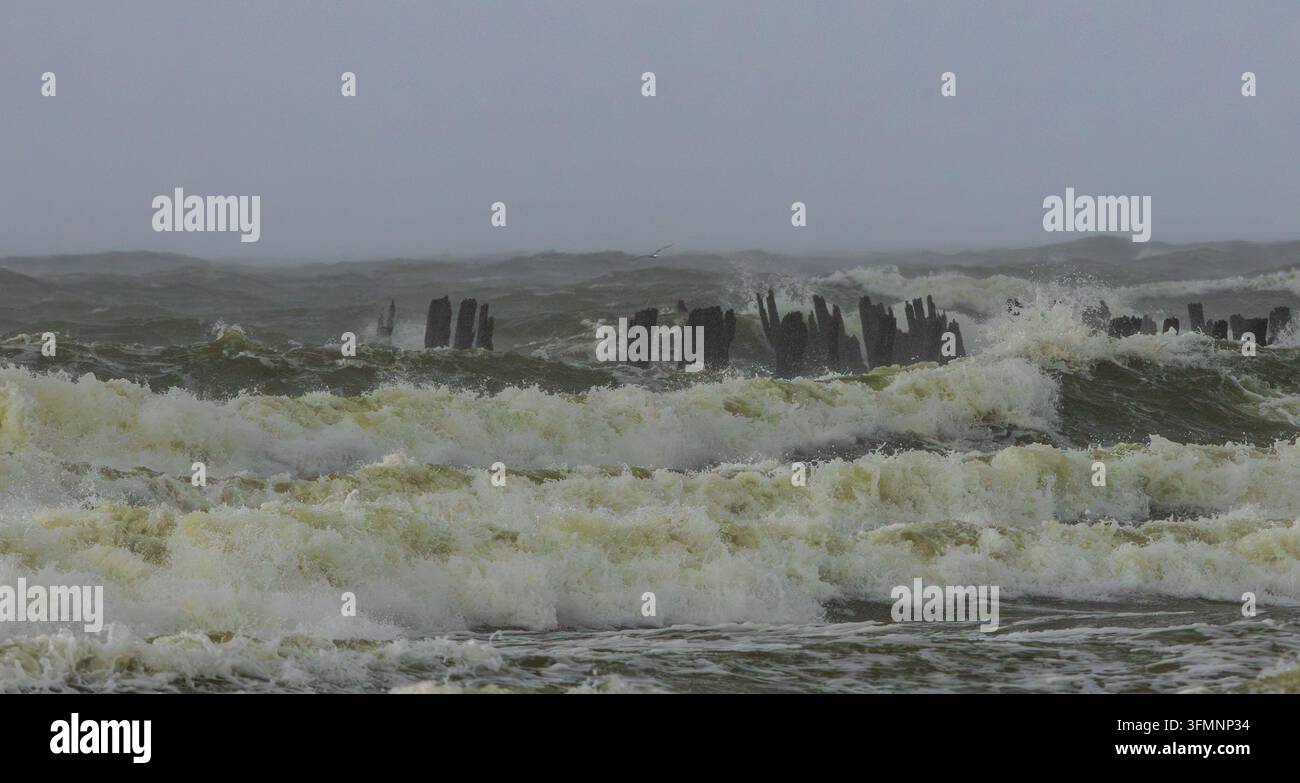 Tempesta intensa sulla spiaggia in Lituania Foto Stock