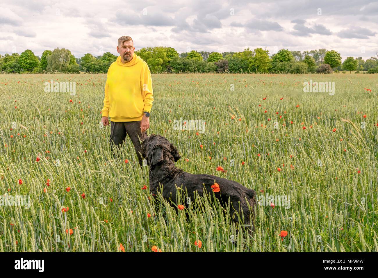 Uomo di mezza età in una felpa gialla in piedi con il suo cane nero in un campo verde punteggiato di papaveri rossi, sotto un cielo nuvoloso e una linea lontana di Foto Stock