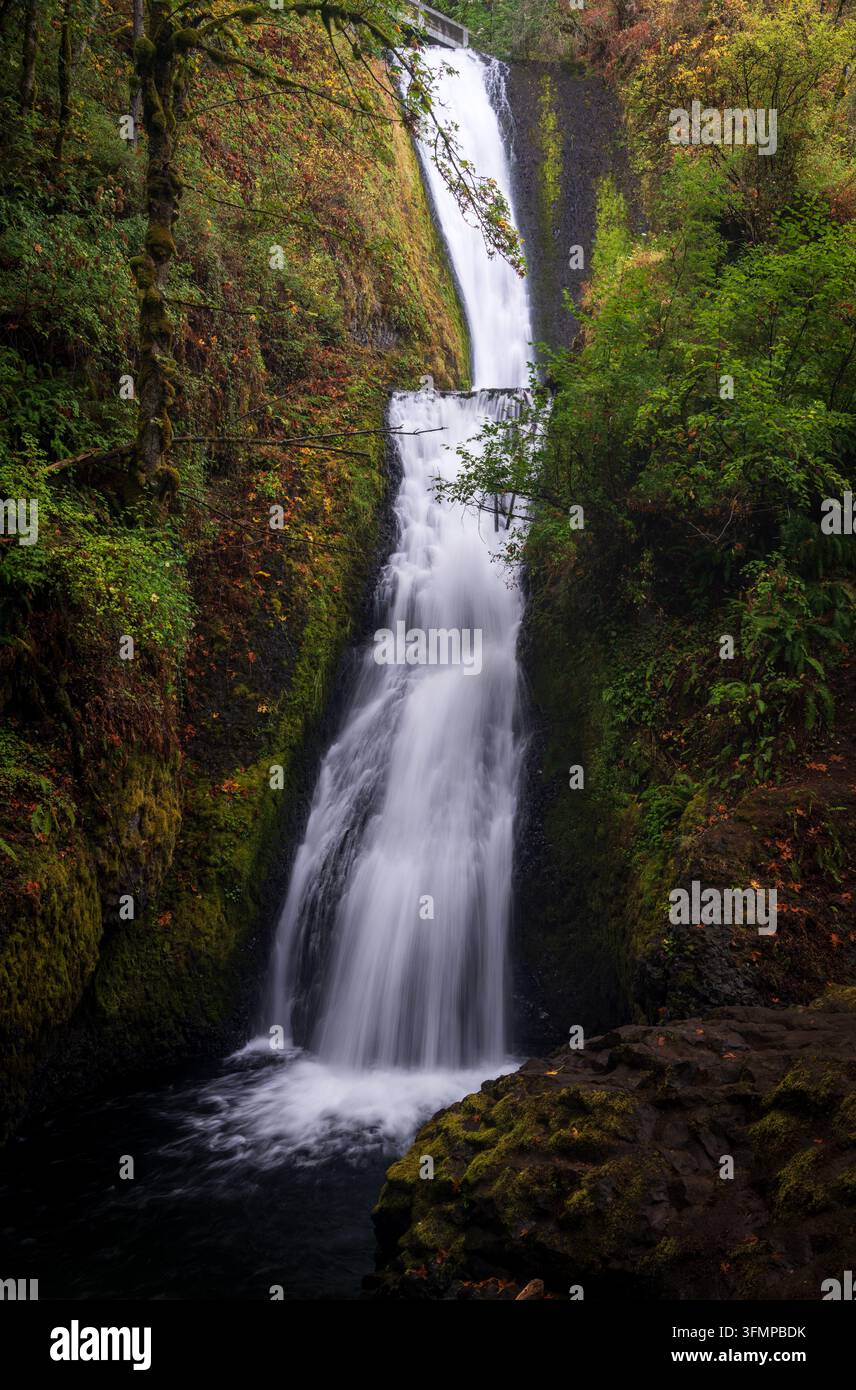Le cascate di Bridal Veil cadono su una scogliera di basalto a due livelli circondata da foresta temperata nella Columbia River Gorge, Oregon. Foto Stock