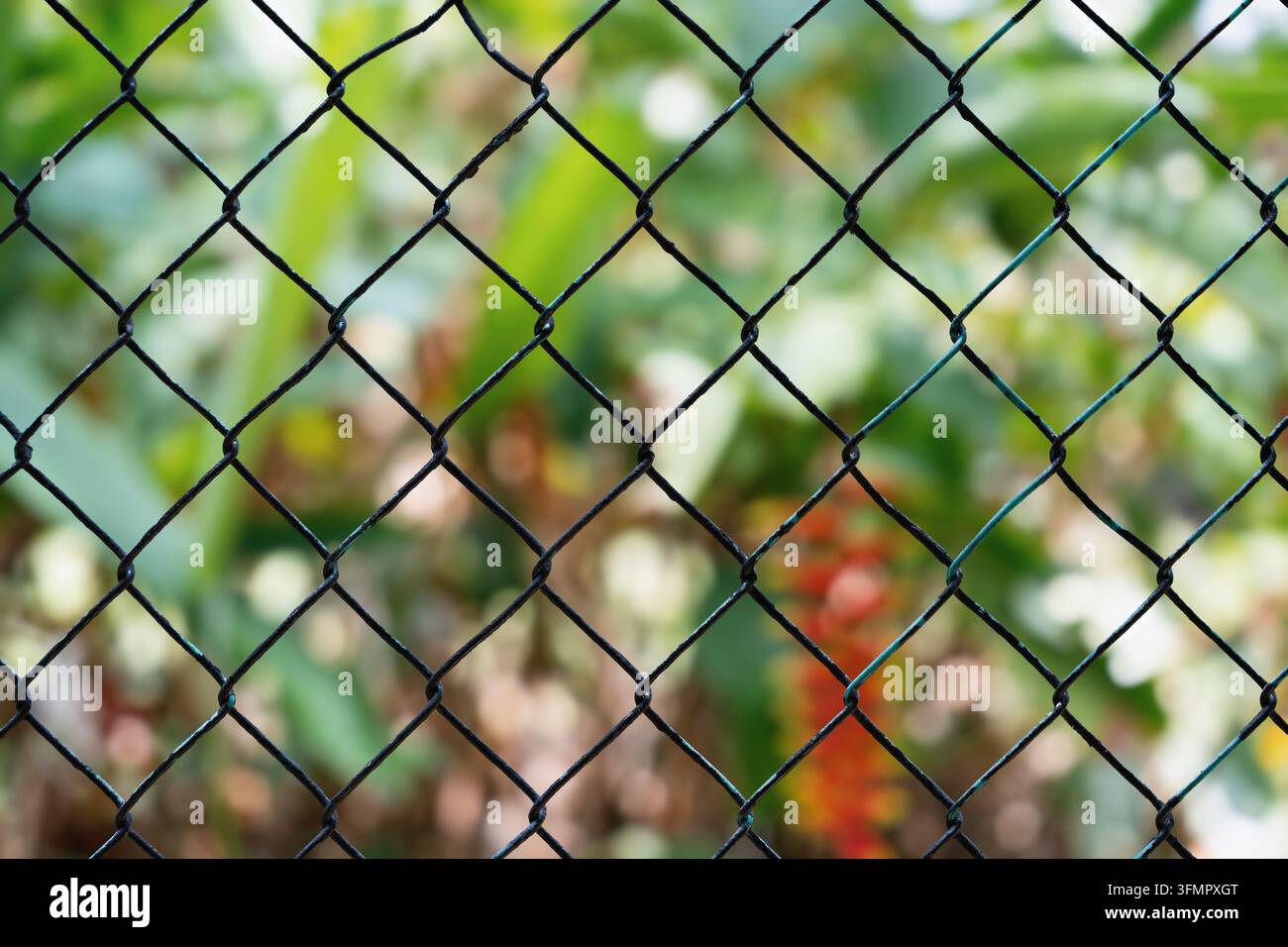 Prima piano di una recinzione a catena metallica con uno sfondo di fogliame verde sfocato. Foto Stock