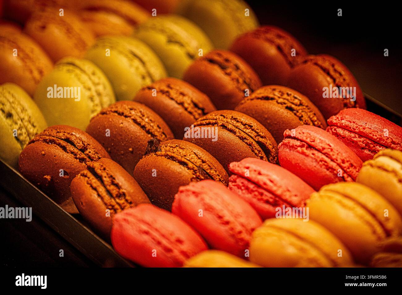 Macarons francesi colorati disposti in file Foto Stock