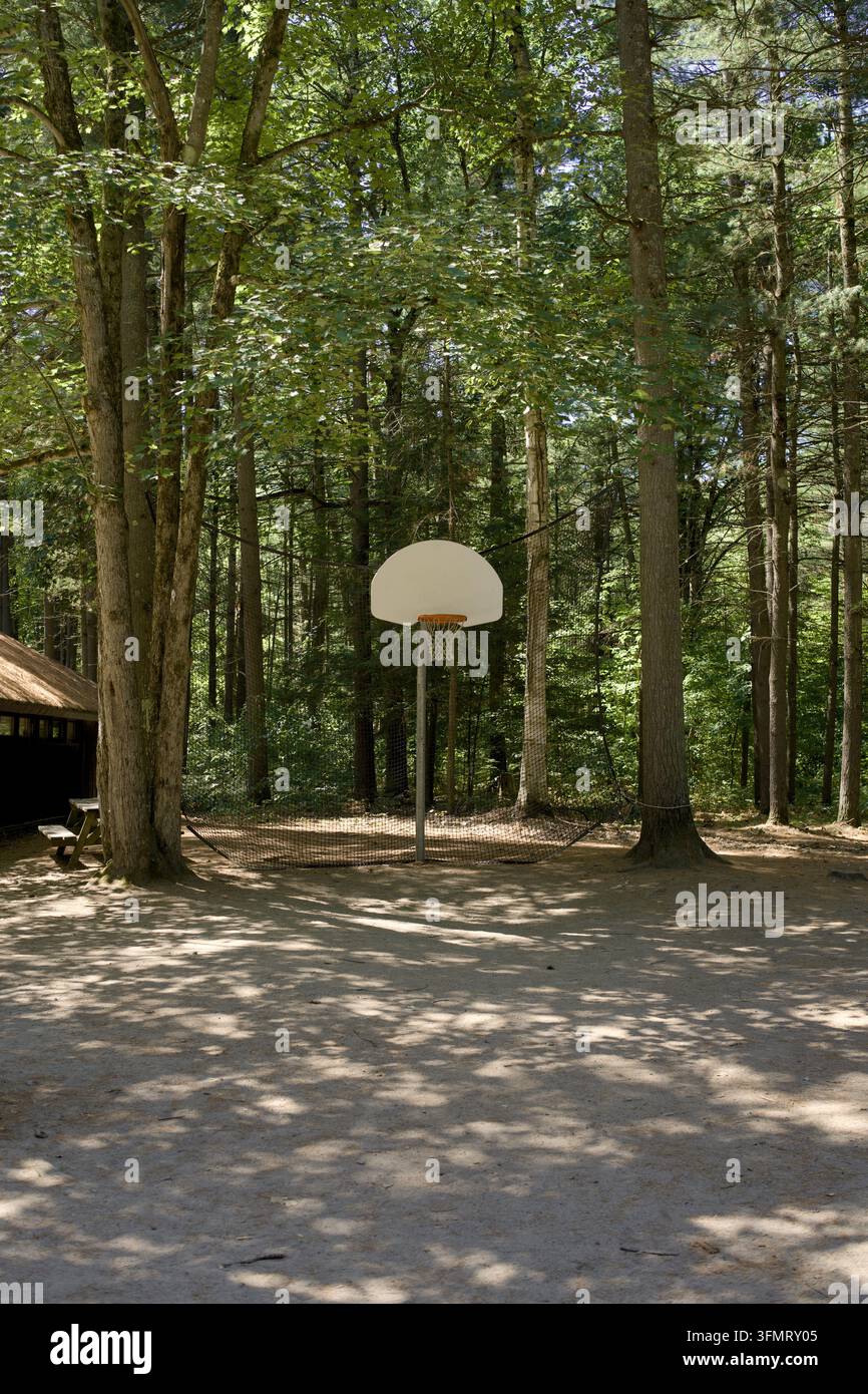 Canestro da basket con rete in piedi da solo in una radura della foresta Foto Stock