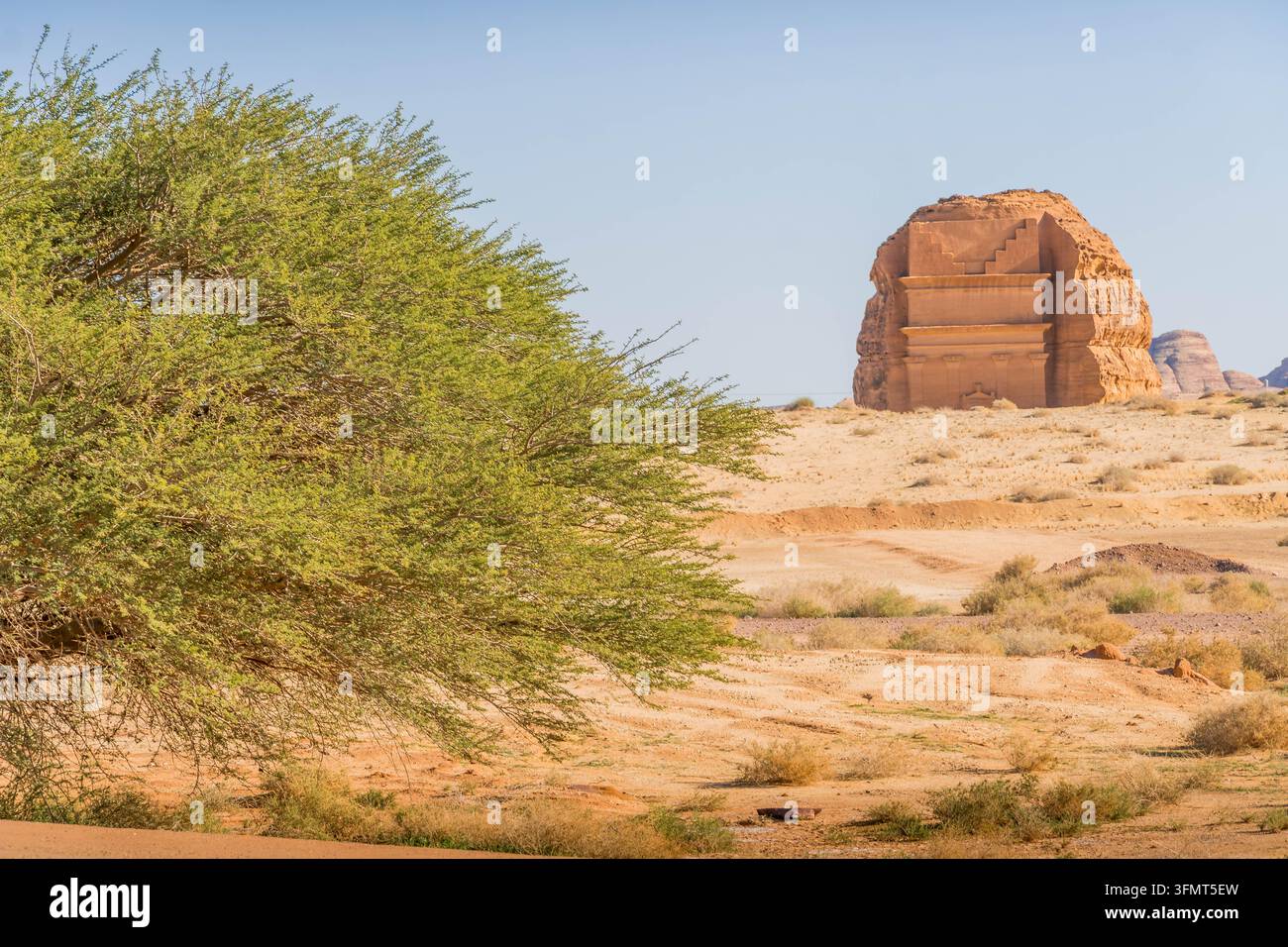 Formazioni di arenaria sceniche ad Hegra ad AlUla (Al-Ula), Arabia Saudita, famose paesaggi di rocce desertiche. Foto Stock