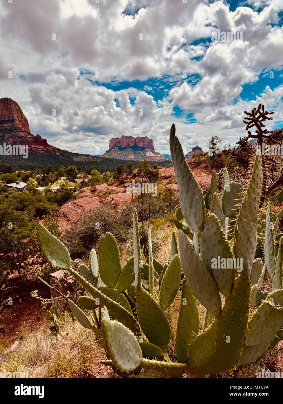 Campagna intorno a Sedona, Arizona Foto Stock