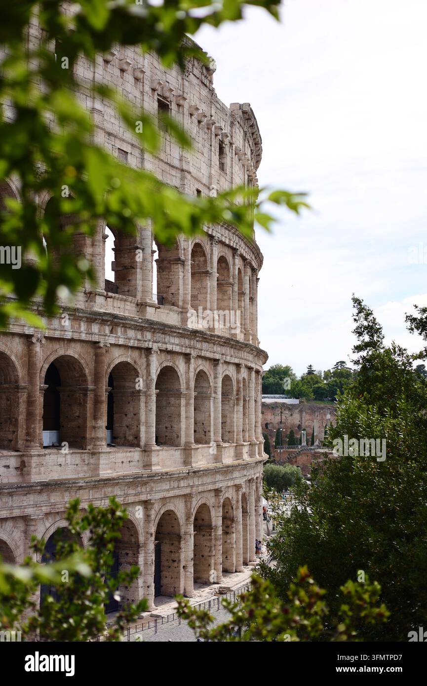 Vista del Colosseo incorniciata da fogliame verde a Roma, Italia Foto Stock