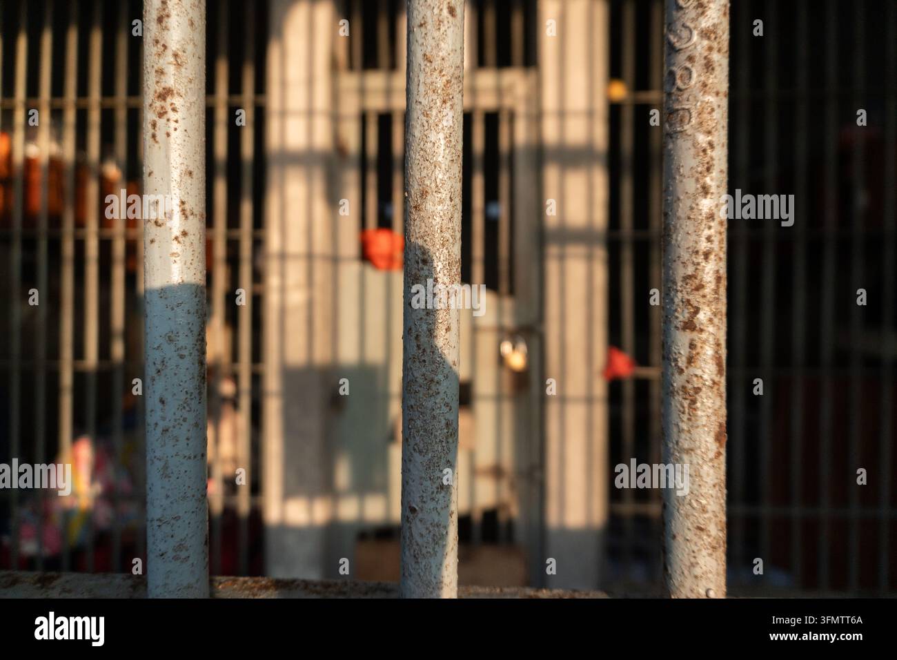 una vista a bassa risoluzione o sfocata di sbarre metalliche verticali, che ricordano una cella di prigione o sbarre di sicurezza per finestre Foto Stock