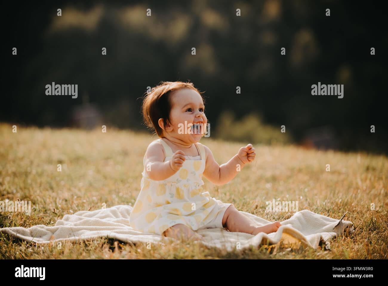 Bambino che ride seduto su una coperta in un prato soleggiato durante un momento familiare estivo all'aperto Foto Stock