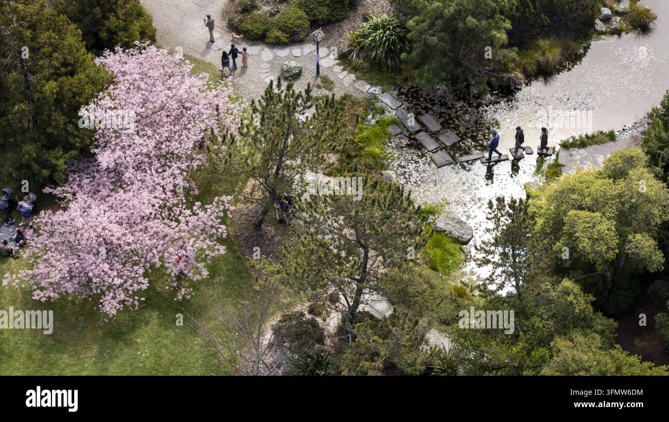 Vista aerea del giardino giapponese Miyazu con ciliegio in fiore, persone che camminano su pietre a gradini attraverso uno stagno e alberi verdi rigogliosi a Ne Foto Stock