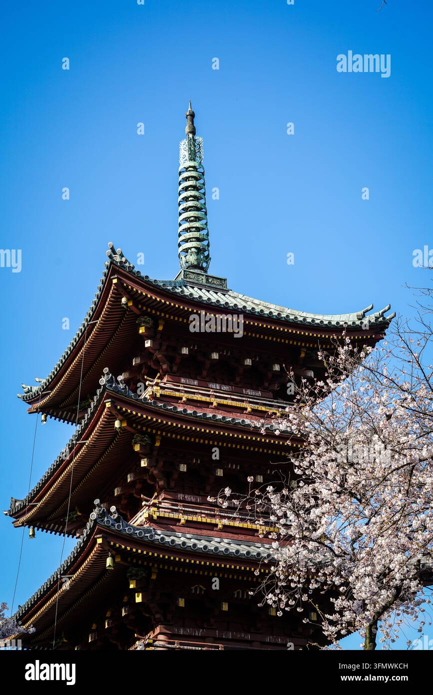 I primi tre piani della pagoda in legno rosso scuro a cinque piani del Tempio Senso-ji si ergono contro un cielo blu chiaro, con una guglia bianca e dorata in Foto Stock