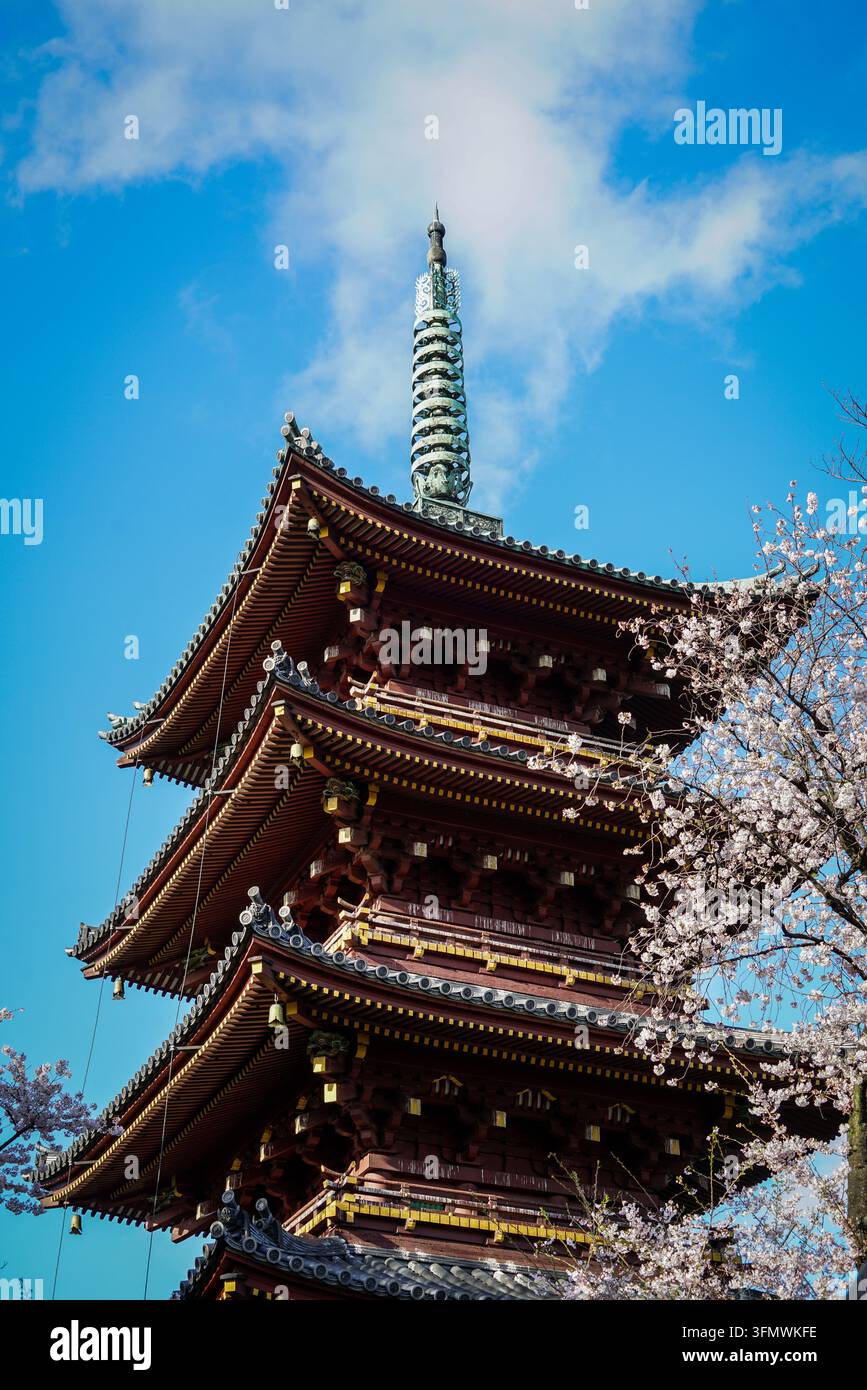 L'imponente pagoda in legno rosso scuro a cinque piani del Tempio Sensoji presenta più tetti ornati con tegole grigio scuro, dettagli dorati e una caratteristica distintiva Foto Stock