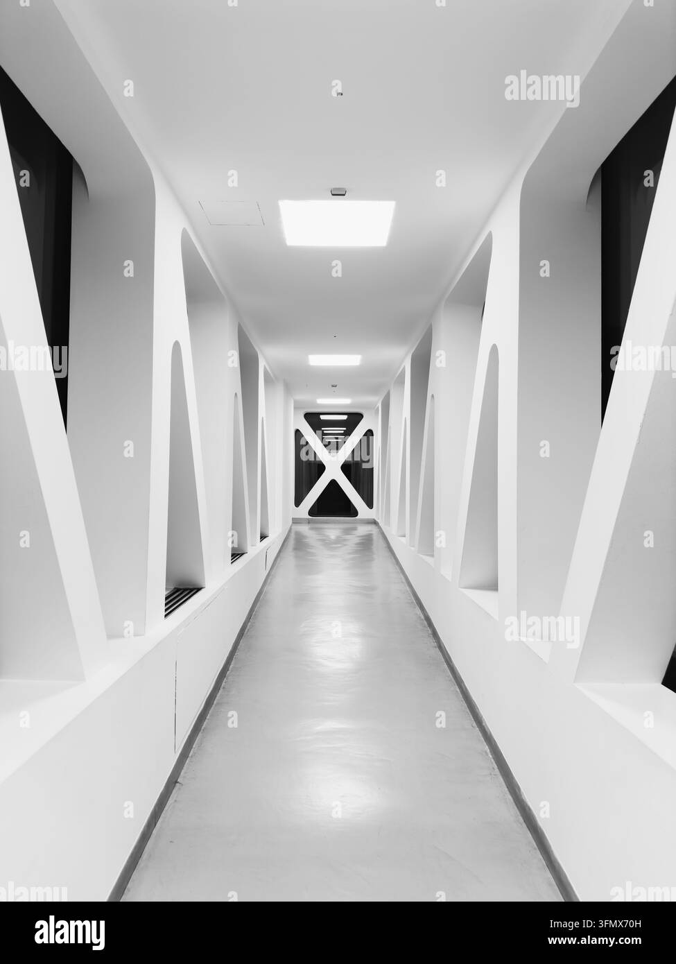 Fotografia architettonica in bianco e nero dell'iconico ponte pedonale bianco simmetrico e della sopraelevata con strutture geometriche a finestra triangolare Foto Stock