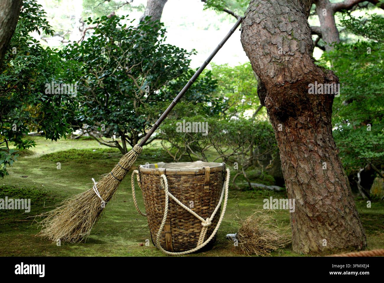 Scopa da giardino tradizionale giapponese e cesto intrecciato accanto a un pino in un giardino paesaggistico. Foto Stock