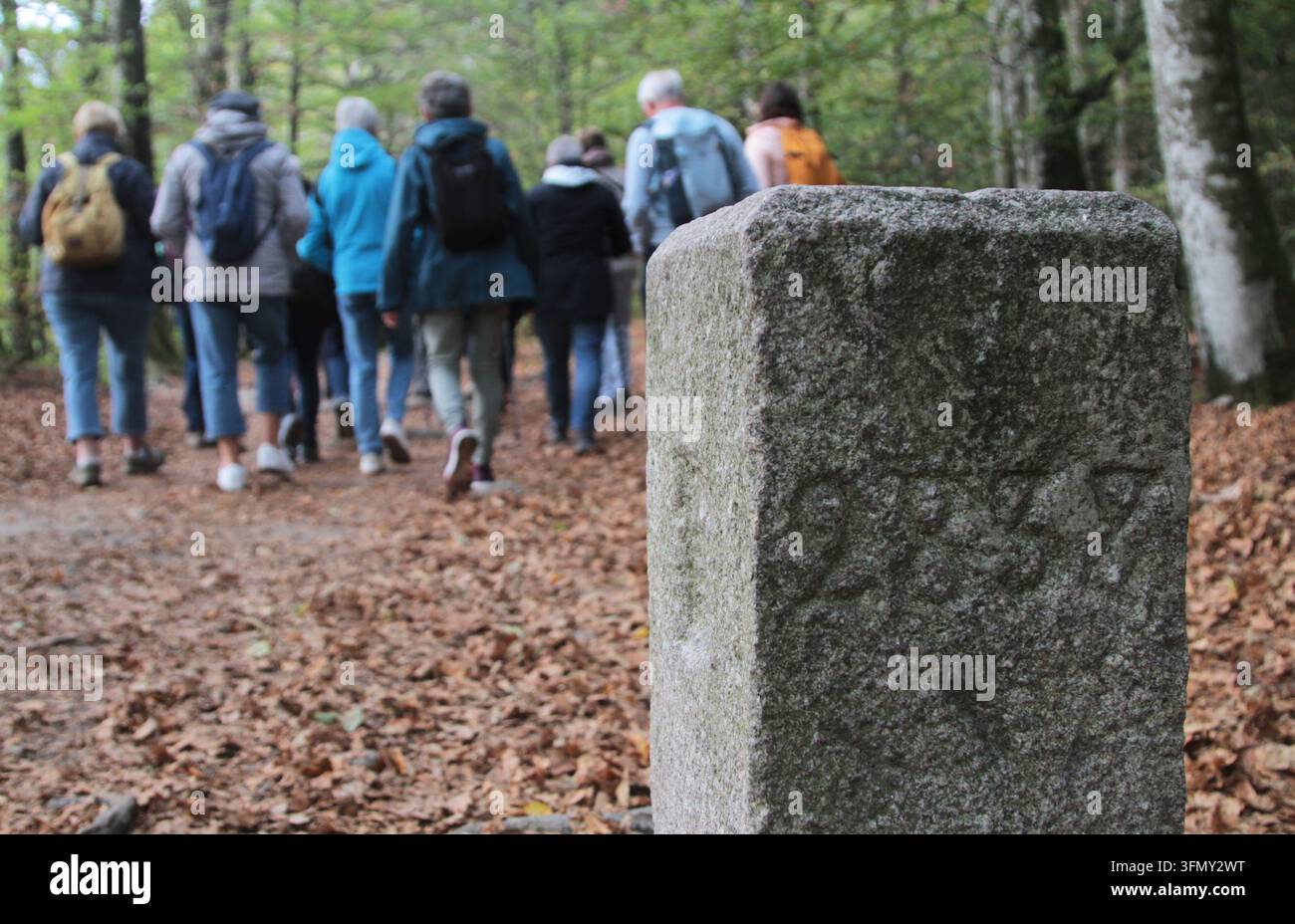 COL DE LA SCHLUCHT, VOSGES, FRANCIA — 24 SETTEMBRE 2024: Un vecchio segnale di confine in pietra con il numero 2838 alla precedente frontiera franco-tedesca al C Foto Stock