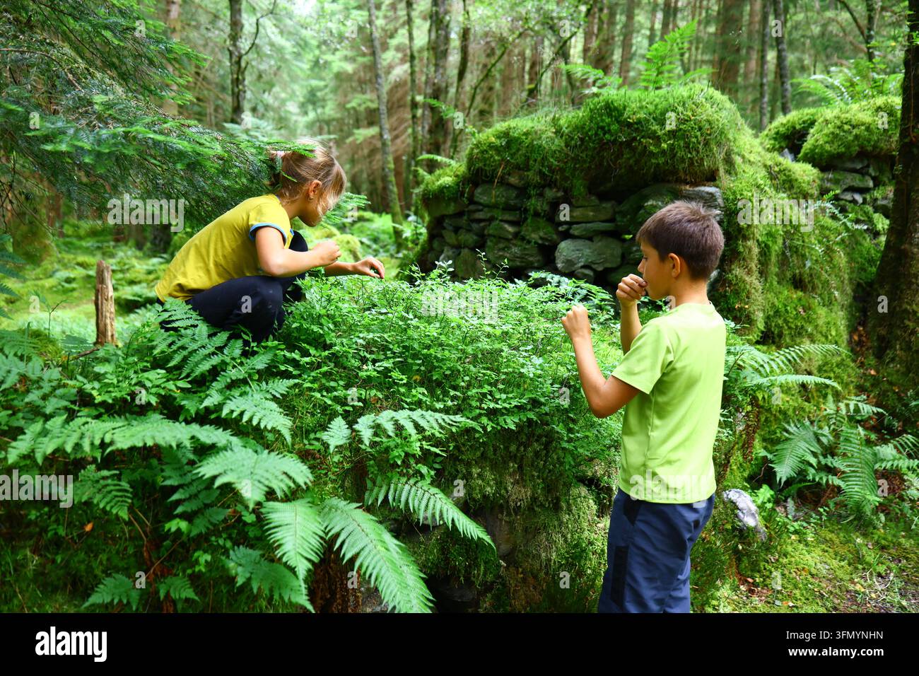 Due bambini che esplorano una fitta vegetazione boschiva ed esaminano piante vicino a una vecchia struttura in pietra ricoperta di muschio. Avventura familiare all'aperto che enfatizza c Foto Stock