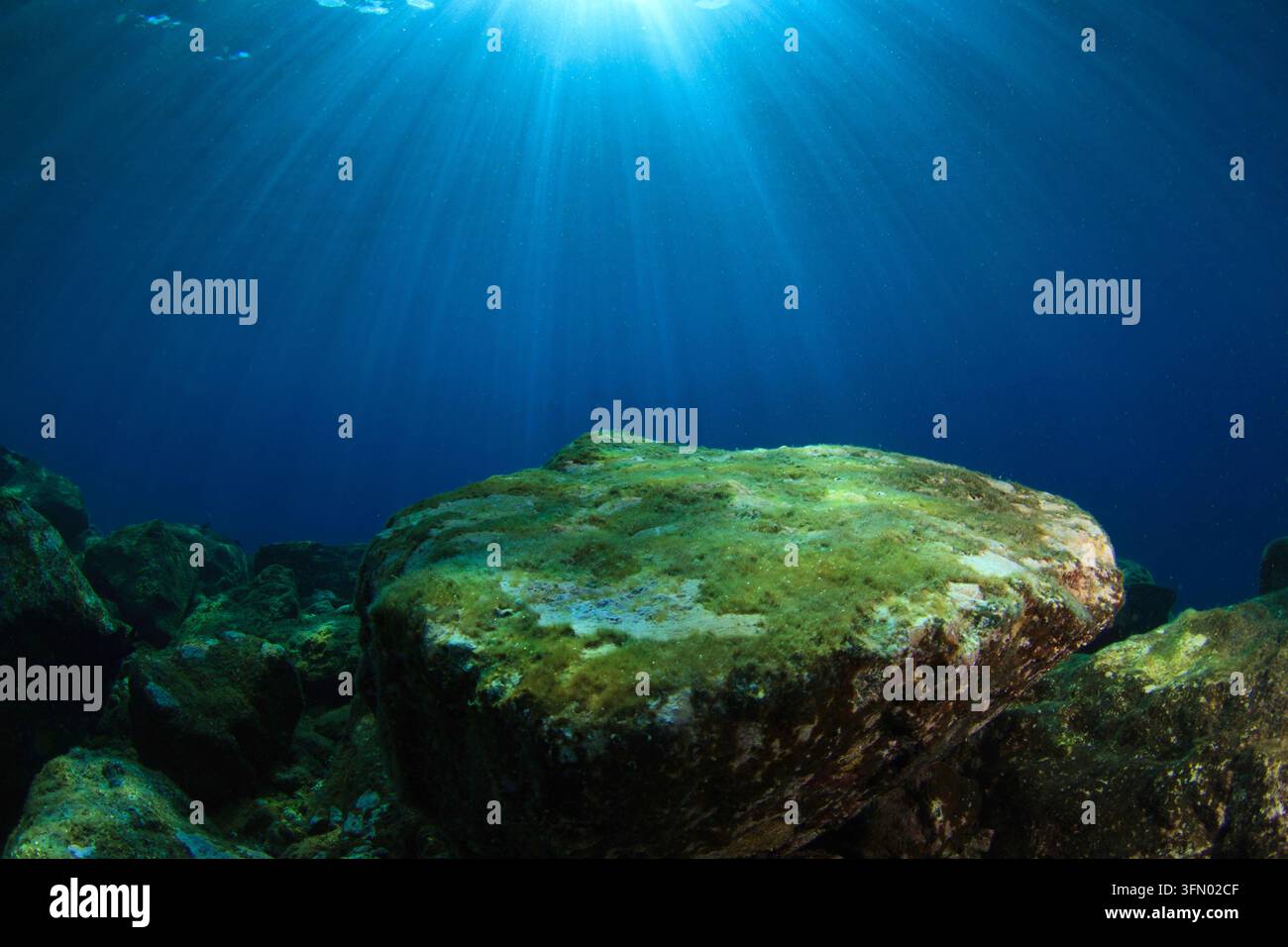 Habitat bentico roccioso sommerso illuminato dai raggi del sole nel mare poco profondo Foto Stock