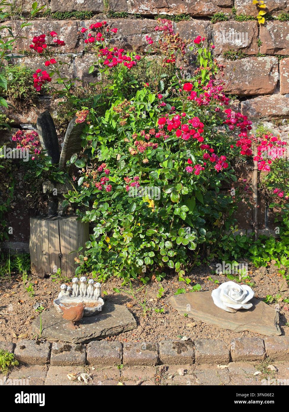 Una scultura di uccello in legno e una piccola figura di mangiatoia per uccelli vicino a un cespuglio di rose verde lussureggiante con fiori rossi in un giardino. - Immagine stock catturata con smartphone