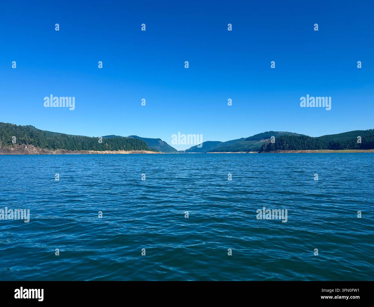 Reservoir di Lookout Point quasi al massimo della capacità prima che il lago fosse prosciugato per il passaggio dei pesci Foto Stock
