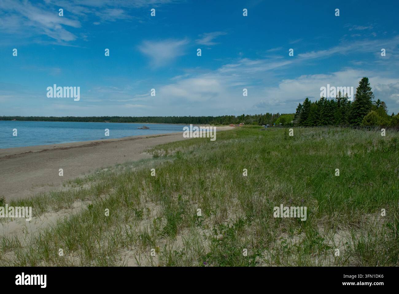 Una vista della riva di Providence Bay. Foto Stock