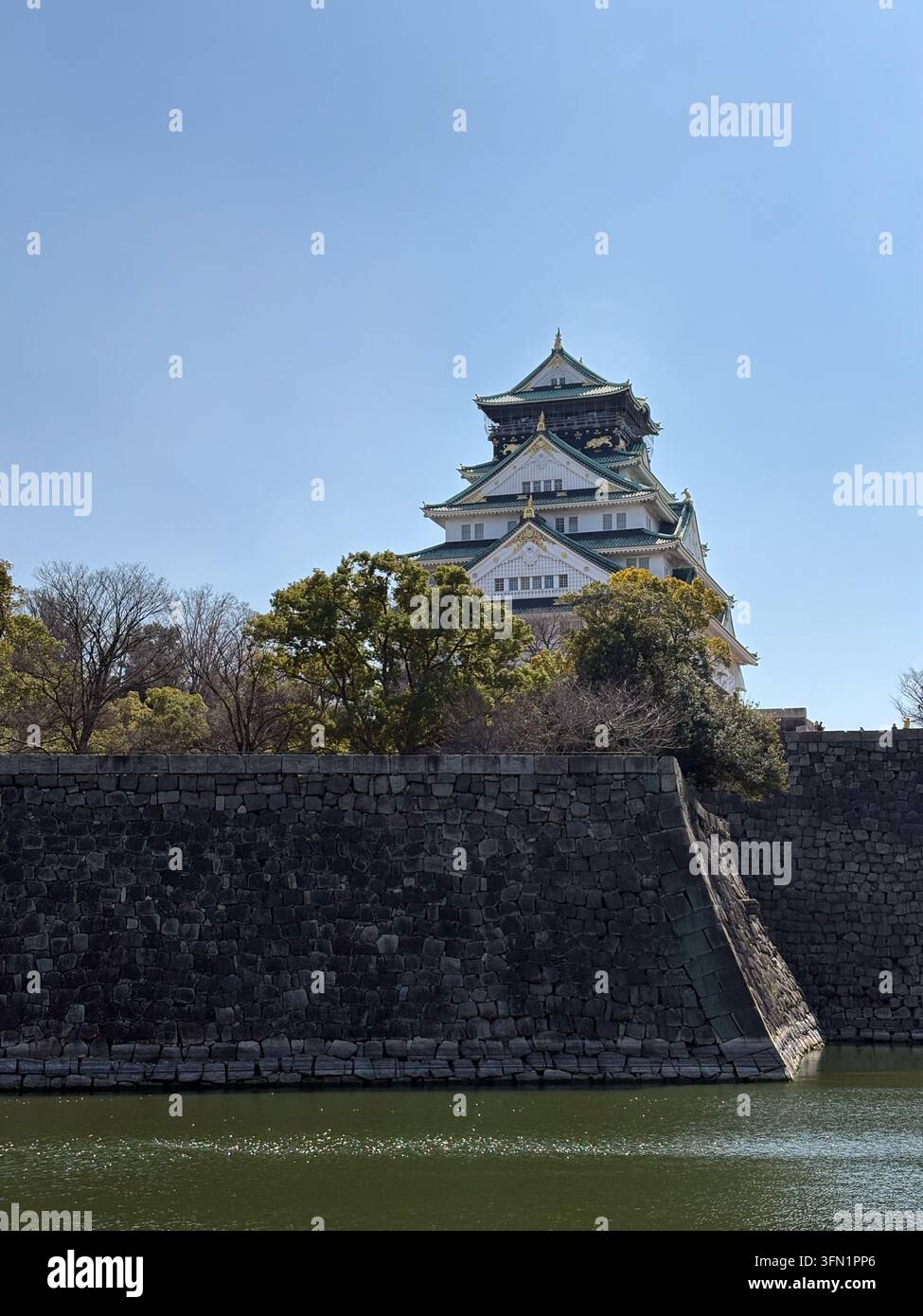 Castello di Osaka con mura di pietra e fossati circondati da alberi - Immagine stock catturata con smartphone