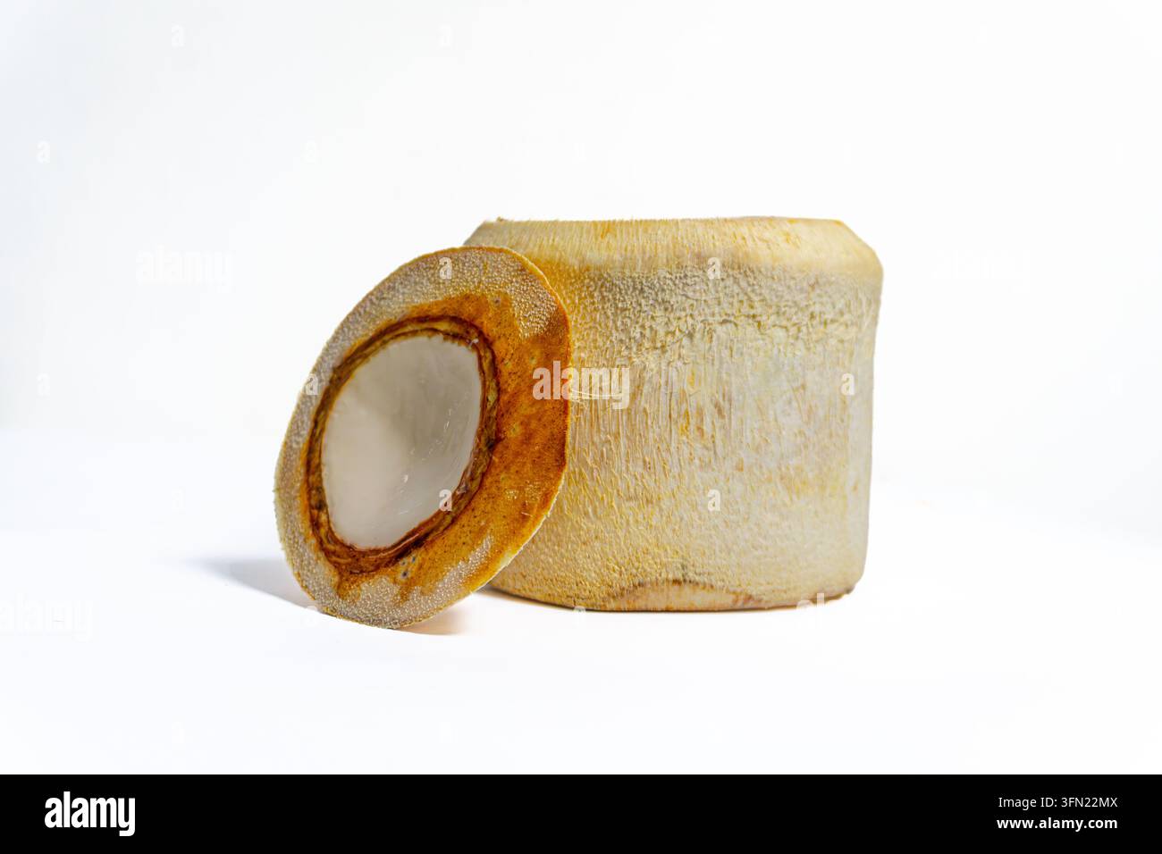 Noce di cocco giovane aperta con coperchio appoggiato accanto che mostra gli strati interni della buccia, isolato su sfondo bianco Foto Stock