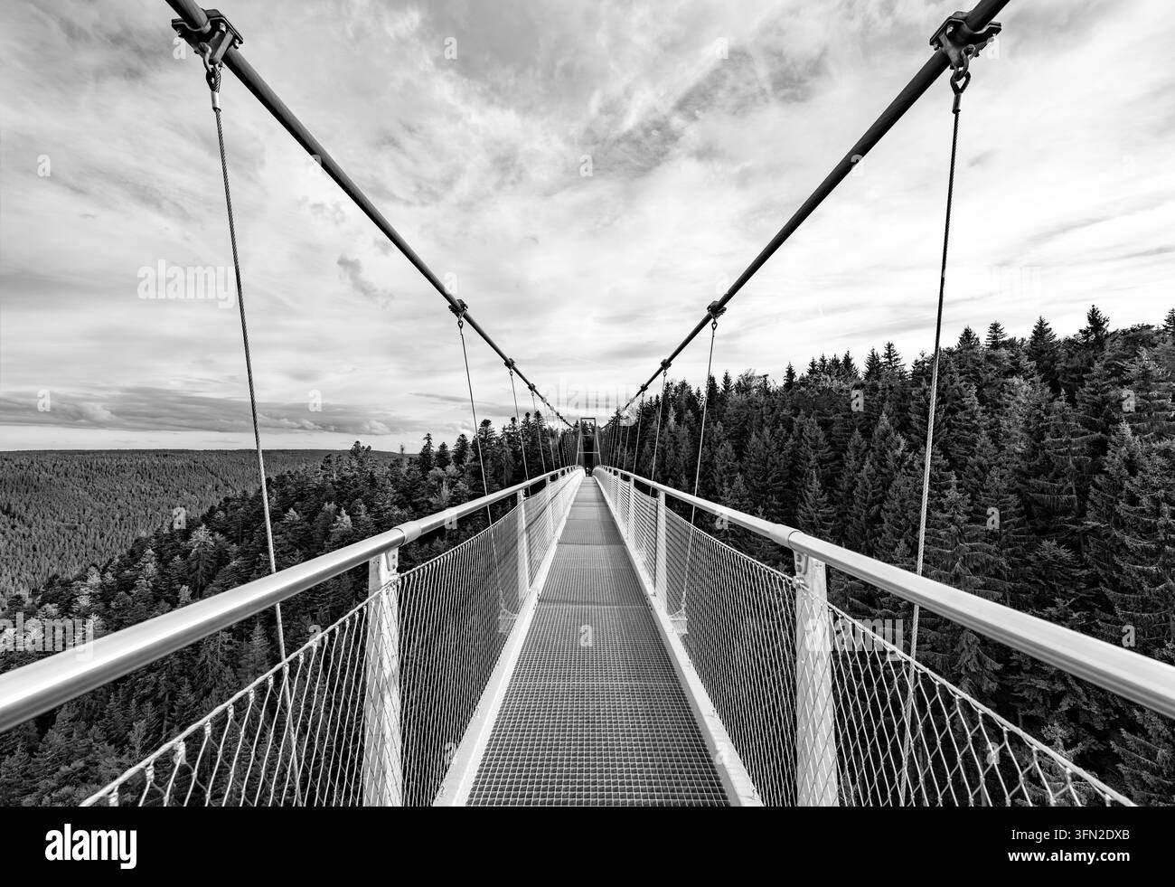 Vista drammatica in bianco e nero lungo un alto ponte sospeso sopra la foresta vicino a Bad Wildbad, Germania, con forte prospettiva, simmetria e panorama Foto Stock