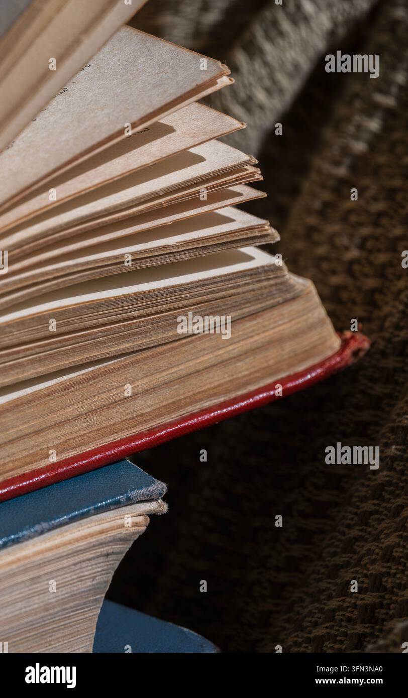 Vecchio libro aperto con pagine di carta invecchiata e rilegatura consumata, che simboleggia conoscenza, storia e il piacere della lettura Foto Stock