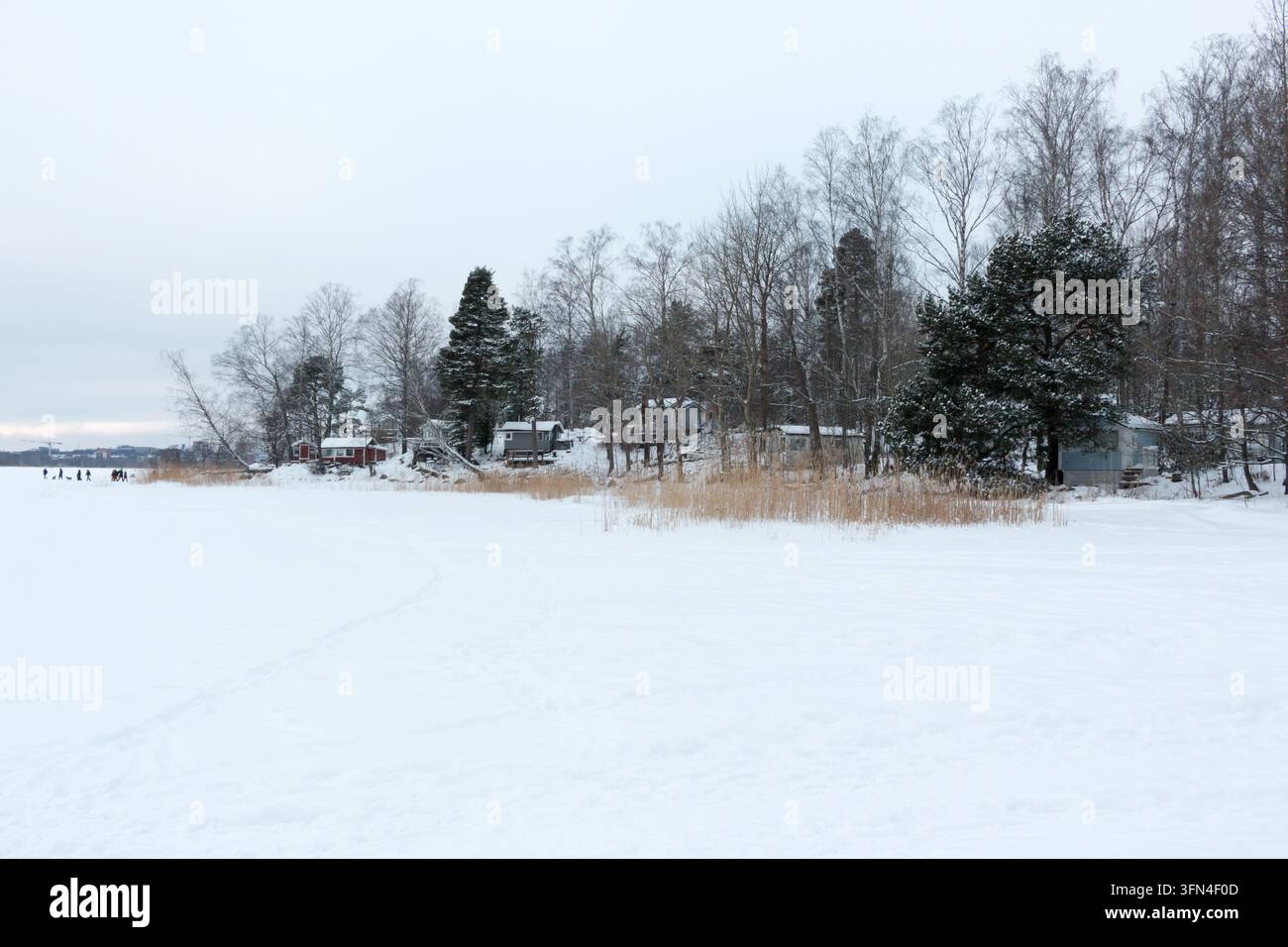 Paesaggio invernale innevato di Kivinokka, un'area ricreativa a Helsinki, in Finlandia. Foto Stock