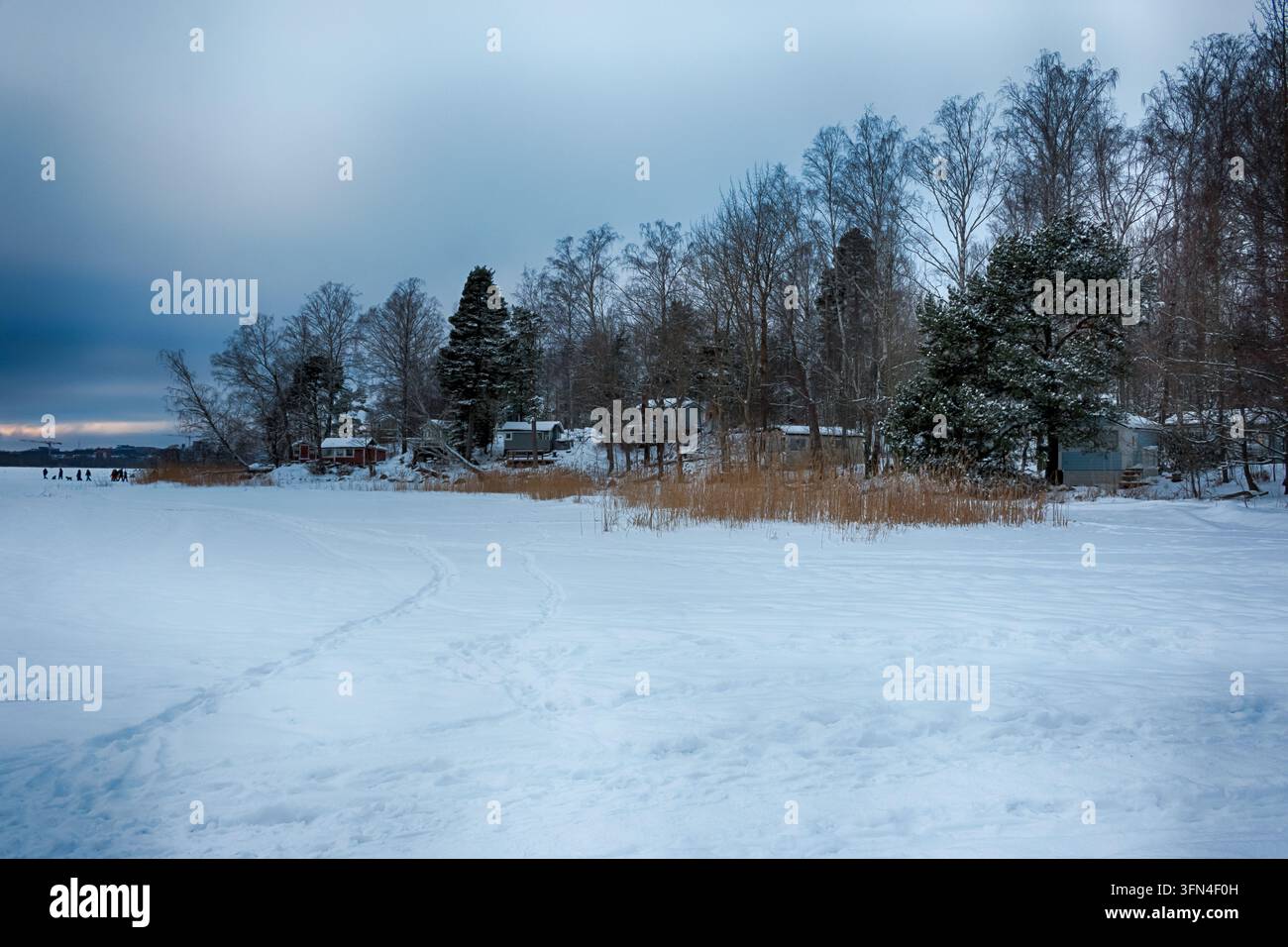 Paesaggio invernale innevato di Kivinokka, un'area ricreativa a Helsinki, Finlandia. HDR. Foto Stock
