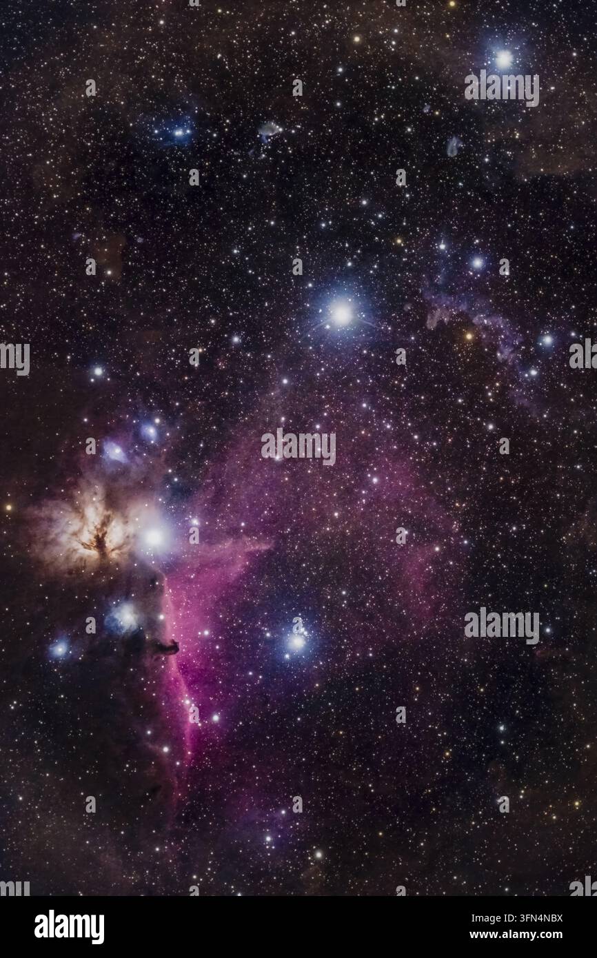 Vista del complesso nebuloso di Orione con la Nebulosa Testa di Cavallo, la Nebulosa della Fiamma e la stella luminosa Alnitak sullo sfondo di un campo stellare denso in t Foto Stock