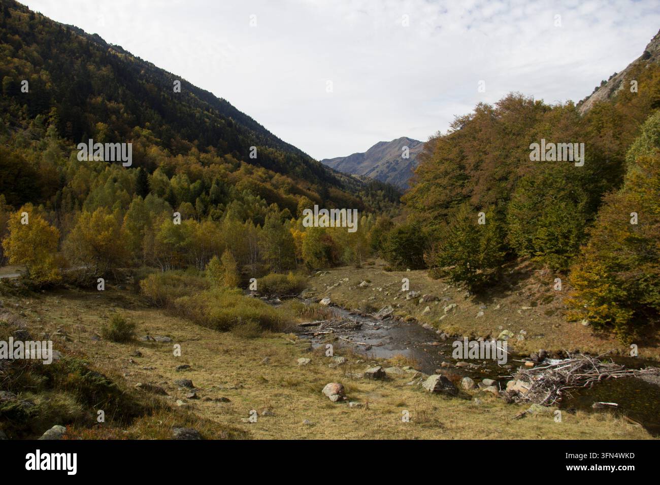 Montagne e valli, sentieri, in toni autunnali Foto Stock