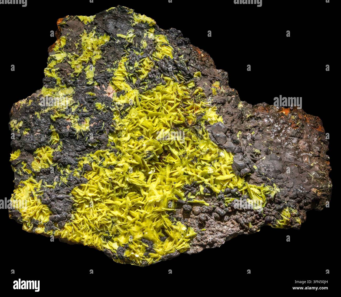 L'autunite è un minerale di fosfato di uranio e calcio idratato con la formula Ca(UO₂)₂(PO₄)₂·10–12H₂O. Foto Stock