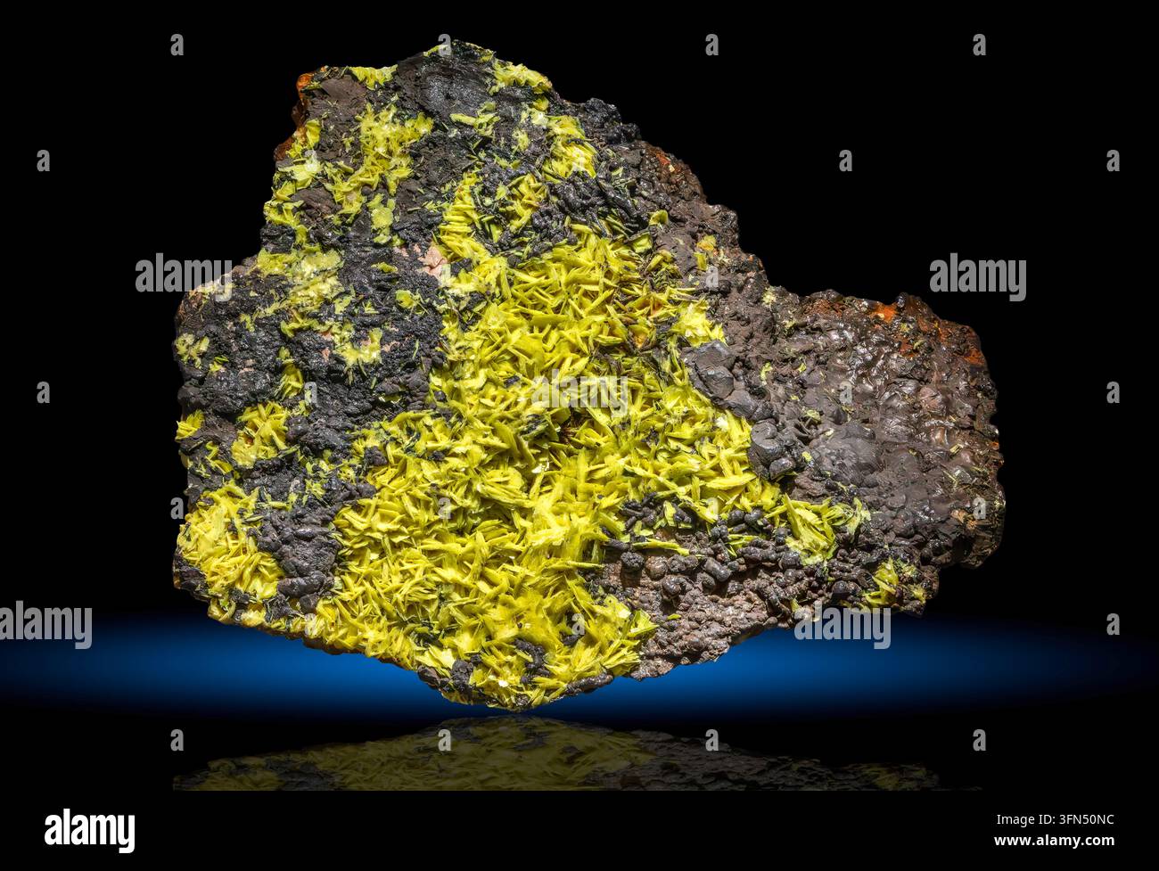 L'autunite è un minerale di fosfato di uranio e calcio idratato con la formula Ca(UO₂)₂(PO₄)₂·10–12H₂O. Foto Stock